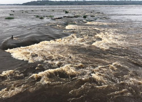 Tiger Fishing Tour, Maloukou Trip