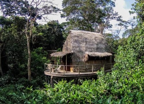 Odzala Kokoua National Park (Discovery Camp)