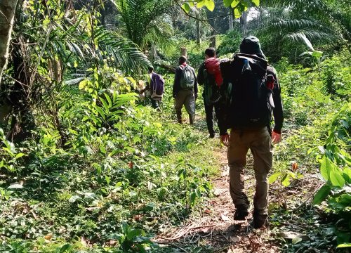 Adventure trip with Pygmies in the Sangha Region