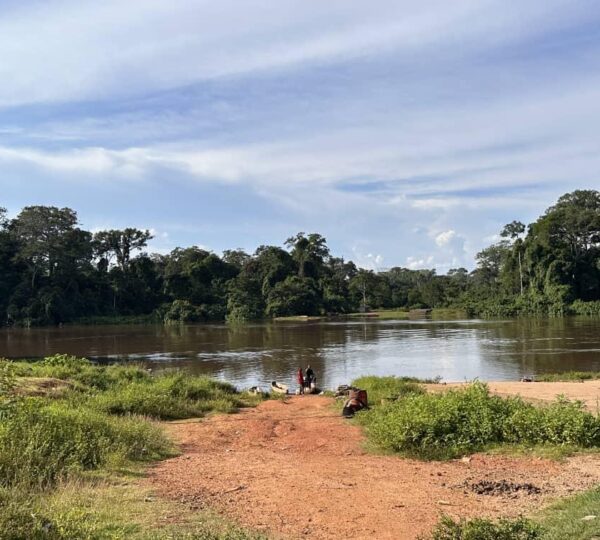 Trip Cameroon – Republic of Centrafrica – Congo – Brazzaville  – Dzangha Sangha park